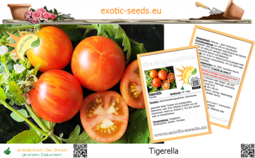 Tomate * Tigerella * 50 Samen